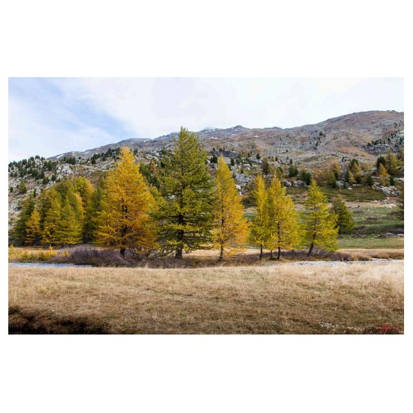 PHOTO84, CLUB, 84 , LUBERON